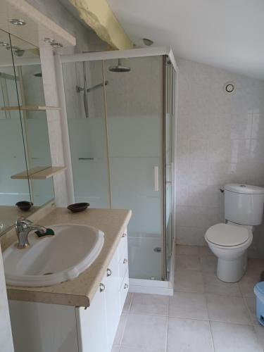a bathroom with a sink and a shower and a toilet at Domaine des Mauves in Berbiguières