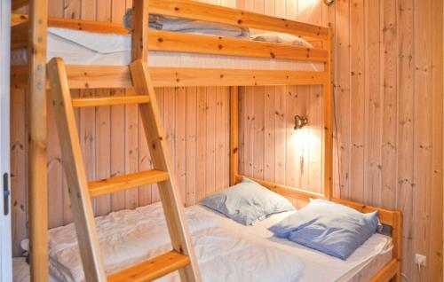 a bedroom with two bunk beds in a cabin at Cozy Home In Vinderup With Kitchen in Vinderup