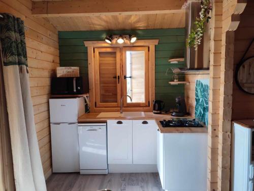 a kitchen with white appliances and green walls at l'Eden du sancerrois in Sens-Beaujeu