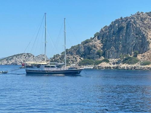 a boat is docked in the water next to a mountain at Bluemarmarisgulettour in Marmaris