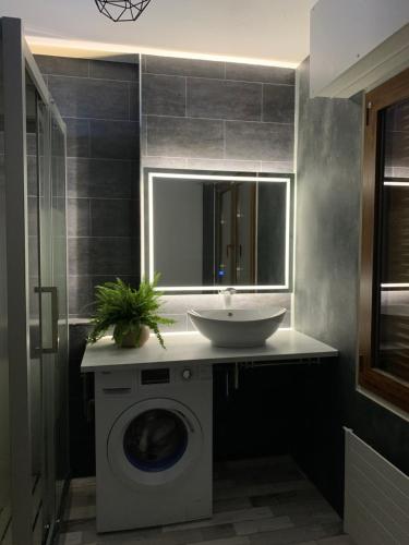 une salle de bain avec un lavabo et une machine à laver dans l'établissement Chez Mat, à Thonon-les-Bains