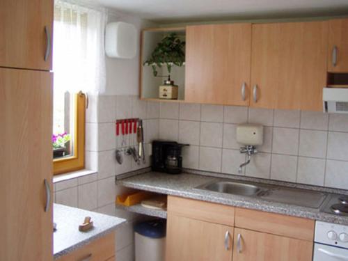 Köök või kööginurk majutusasutuses Vila Lipno