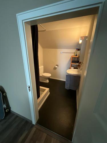 a bathroom with a toilet and a sink and a mirror at Ruhige 2 Zimmer Wohnung in Diegten