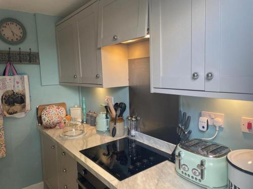 Kuchyň nebo kuchyňský kout v ubytování Captivating 1-Bed Cottage in Ross-on-Wye