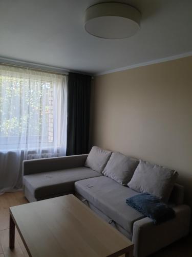 a living room with a couch and a table at Ozolu apartement in Kandava