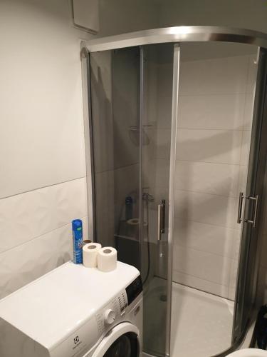 baño con cabina de ducha con 2 rollos de papel higiénico en Ozolu apartement, en Kandava