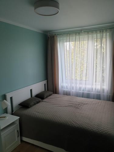 a bedroom with a large bed and a window at Ozolu apartement in Kandava