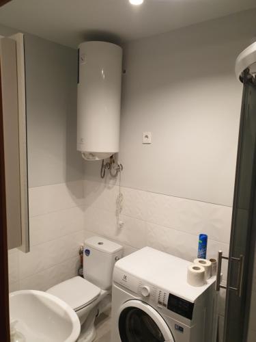 ein Badezimmer mit einer Waschmaschine und einem Waschbecken in der Unterkunft Ozolu apartement in Kandava