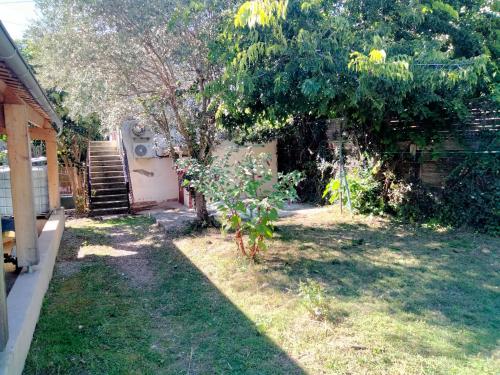 een tuin met een boom en een huis met een trap bij Appartement calme a 2 minutes a pieds du centre ville in Manosque