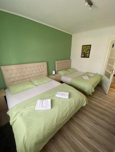 2 Betten in einem Zimmer mit grünen Wänden in der Unterkunft Casa Bella in Palić