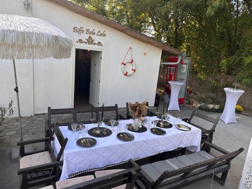 einen Tisch mit einem Hund auf dem Tisch in der Unterkunft Casa Bella in Palić