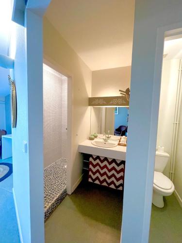 une salle de bain avec un lavabo, des toilettes et un miroir dans l'établissement Chambres Domaine de Laléard, à Saint-Hilaire-de-Villefranche