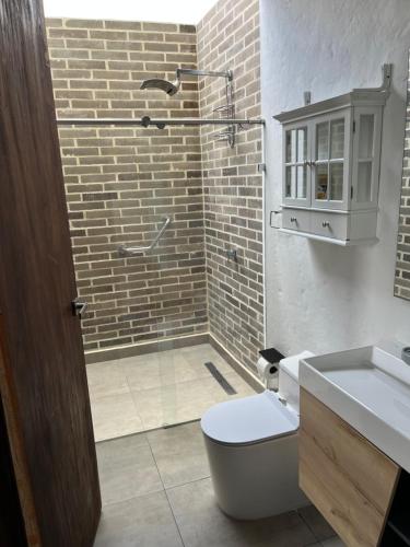 a bathroom with a shower and a toilet and a sink at Villa Venecia Colonial in Venecia
