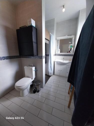 W łazience znajduje się toaleta, umywalka i lustro. w obiekcie Manoir de kerozet - Chambres chez l'habitant - 3 chiens w mieście Plouider