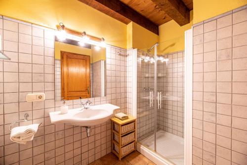 bagno con lavandino e doccia di Casa Cobert del Carro a Lladurs