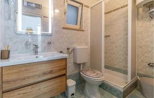 ein Bad mit einem WC, einem Waschbecken und einer Dusche in der Unterkunft Awesome Apartment In Banjole With Wifi in Banjole