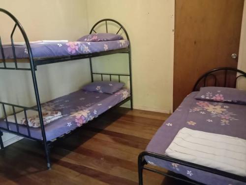 a couple of bunk beds in a room at Mountainresthouse 