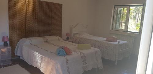 Postel nebo postele na pokoji v ubytování Casa dos Morgados