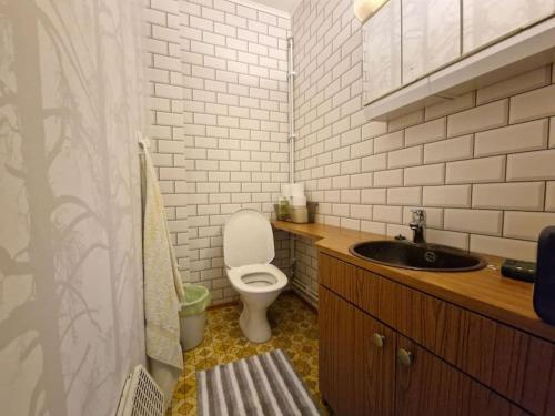 a small bathroom with a toilet and a sink at Retro talo Kuhmon keskustassa in Kuhmo
