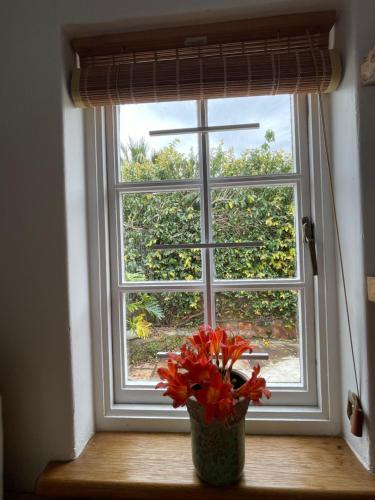 a vase of flowers sitting on a window sill at 13 On Vigne in Greyton
