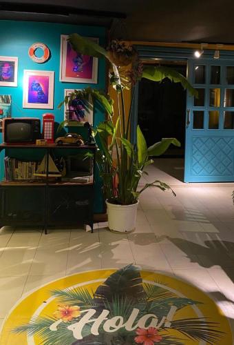 a room with a potted plant on the floor at Cabbana Hotel Lara in Antalya