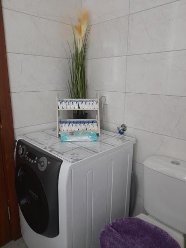 a bathroom with a washing machine and a toilet at Apartman Mančić in Pirot