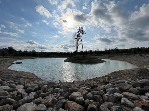a tree in the middle of a pond with rocks at Metsakuurorti puhkekeskus, Mummila house in Saula