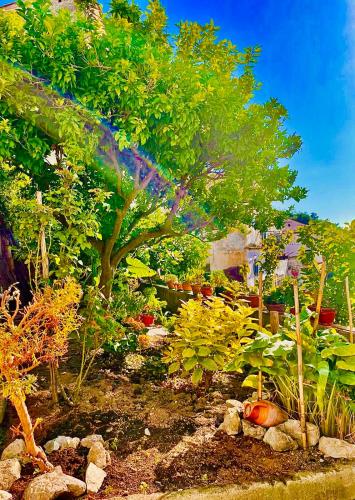 Jardín al aire libre en Borgo Virginia - Sea View in Amalfi Coast