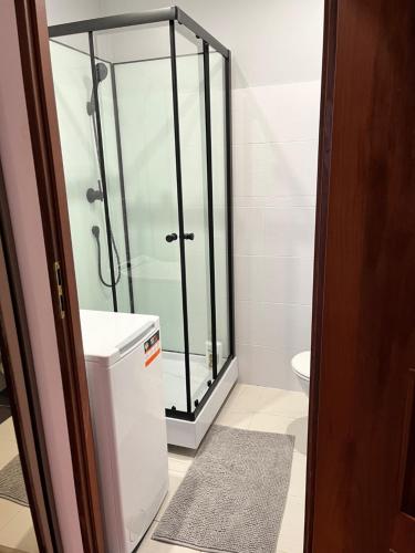 een badkamer met een douche en een toilet bij Apartament Podskarbińska in Warschau