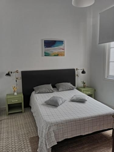 1 dormitorio con 1 cama con 2 almohadas en Apartamento en el Centro histórico de Málaga, en Málaga