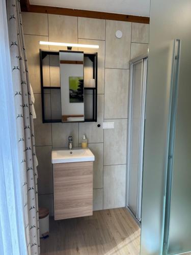 ein Bad mit einem Waschbecken, einem Spiegel und einer Dusche in der Unterkunft Haus Amalie in Söll
