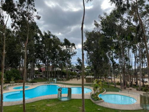 YecoAcogedor Dpto Algarrobo Norte Home Office Wifi Piscinas Hidromasaje的享有树木公园内两个游泳池的景色