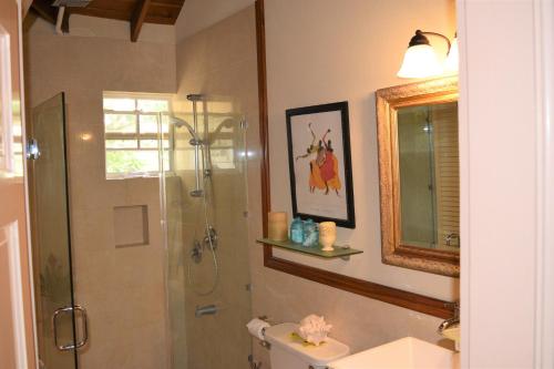 a bathroom with a shower and a toilet and a sink at Coconut Walk Beach Apartment in Christ Church