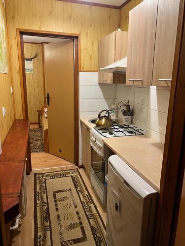 a small kitchen with a stove and a sink at Agroturystyka Pokoje U Sołtysa in Goniadz