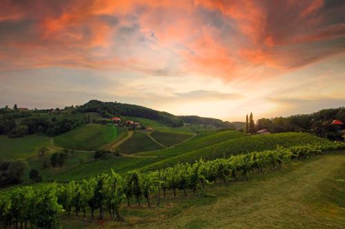 a vineyard in the hills with a sunset in the background at Weinlandzauber An der Lage in Spielfeld