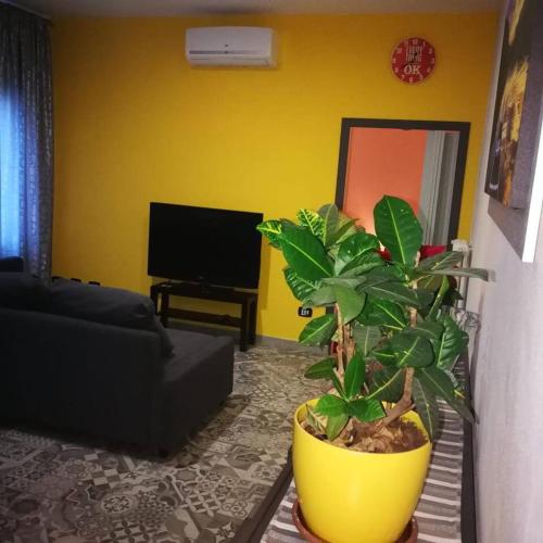 a living room with a plant in a yellow pot at The Best House in Reggio Emilia