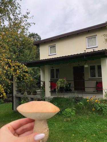 a person holding a mushroom in front of a house at CHEZ YAYA Bogumiła Szeląg in Zalasowa
