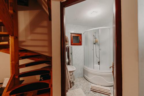 瓦特拉多梅的住宿－Pleta View，一间带步入式淋浴间和卫生间的浴室