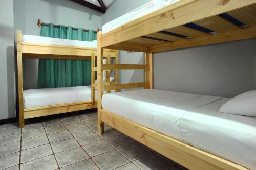 a bedroom with two bunk beds in a room at Wide Mouth Frog Quepos in Manuel Antonio