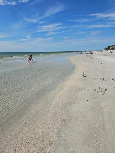 un grupo de personas caminando por la playa en Beach Condo, en Clearwater Beach