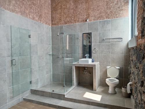 a bathroom with a shower and a toilet and a sink at Hotel Xochicaltzin in Atlixco