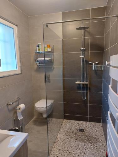 een badkamer met een douche, een toilet en een wastafel bij Gite des Reguinelles in Saint-Lattier