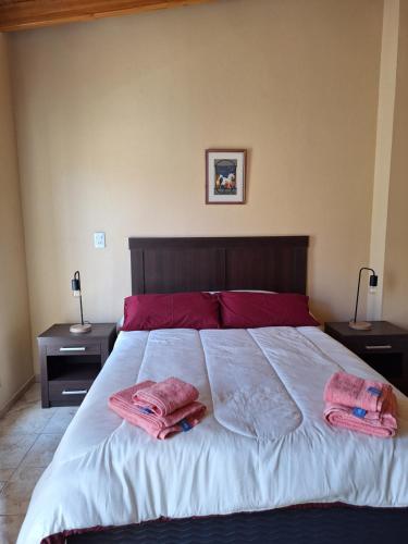 a bedroom with a large bed with two towels on it at Departamento Terruños in Tunuyán