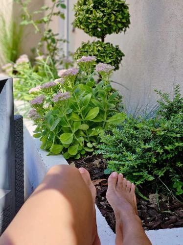 a person laying on a ledge next to a plant at Laci Lak Premium apartment in Oradea