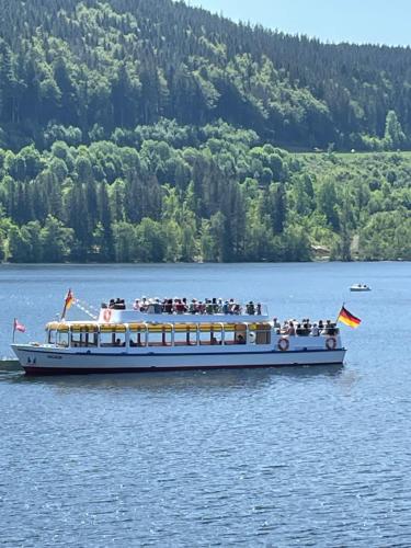 um grupo de pessoas em um barco em um lago em Am Birkenhain em Titisee-Neustadt