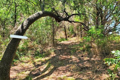 a tree with a sign on it in the woods at The Lonely Bull Luxury Container Home on 5 Acres in Weatherford
