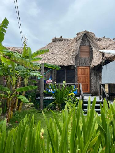 a house with a thatch roof and a yard at Hotel Del Rio in San Pedro
