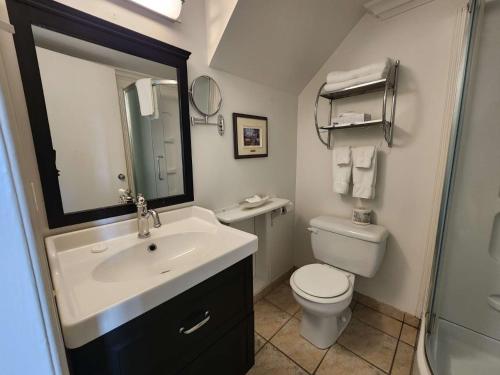 a bathroom with a sink and a toilet and a mirror at Auberge des Nuages in La Malbaie