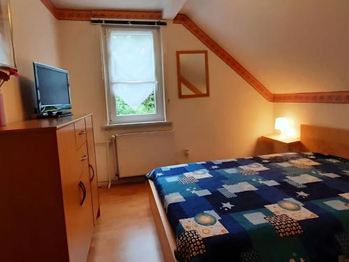 1 dormitorio con 1 cama, TV y ventana en Holiday apartment Stern in the heart of the Harz, en Wildemann