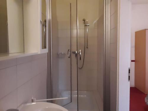 a shower with a glass door next to a sink at Holiday apartment veranda in the heart of the Harz in Wildemann